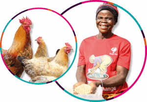 Symbolgrafik zu den CHANCEN-Geschenkspenden: Darstellung von Saatgut und einer Hühnerschar, von Opportunity International Deutschland